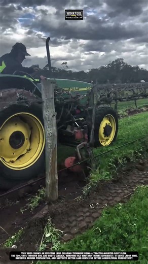 Removing Vineyard Tree Roots Using Work Tool Tractor Mounted Root Plow #tool #worktool
