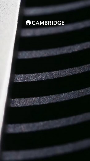 38K views · 193 reactions | Discover Edge - our flagship series, designed to bring musical detail to life. You've never heard your music like this before. Take advantage of our new trade-up program and enjoy a 20% discount on any Edge component when you trade in your old hi-fi gear at participating retailers. Dive into the details and find a retailer (Ts and Cs apply): bit.ly/edge-trade-up-UK Make the swap, embrace the change, and live life on the Edge | Cambridge Audio | Facebook