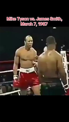 #miketyson #miketysonboxing #mike_tyson_boxing_life #boxing #boxingknockout 🥊