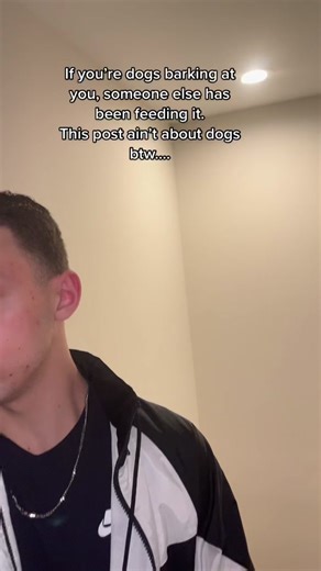 Understanding Dog Behavior: Why Your Dog Barks