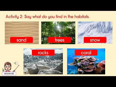 SUPER MINDS YEAR 2 pg 78 HABITATS
