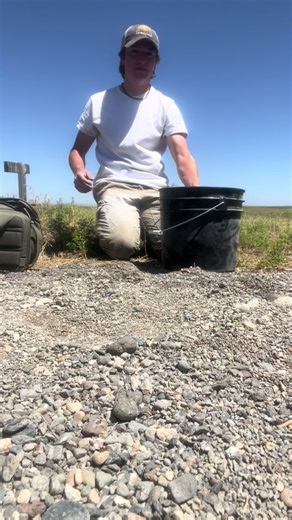 Releasing freshly banded baby burrowing owls back into their burrow! *all wildlife handled with the appropriate state and federal permits for research purposes*