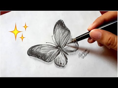 Cómo dibujar una mariposa con lápiz de grafito - Dibujos de mariposas | How To Draw a Butterfly