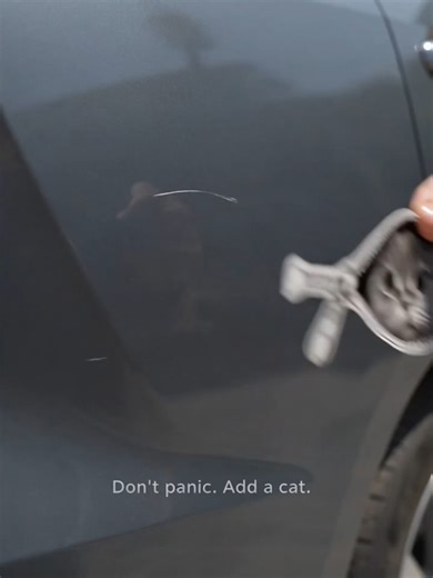 Tiny Cat Car Sticker: Cute DIY Scratch Cover-Up