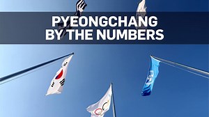 From the athletes and sports to the venues and volunteers, see how the 23rd Winter Games in Pyeongchang, South Korea, are stacking up. | CTV News