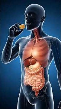 What Cheese Really Does Inside Your Body | Medical Animation