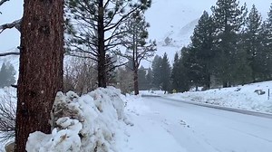 4.2K views · 236 reactions | It’s snowing  | Twin Lakes Resort | Facebook