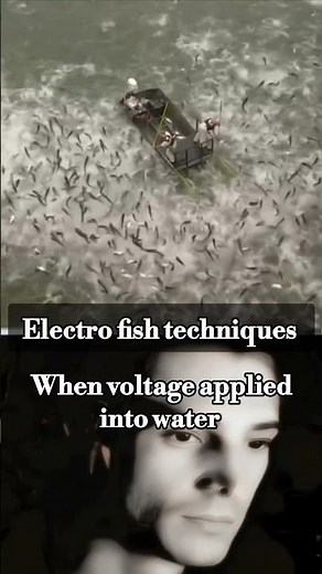 electro fishing 🎣 technique #explained #physicsexperiment #fact