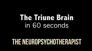 The Triune Brain in 60 seconds | The Science of Psychotherapy