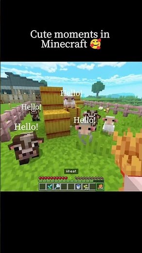 Cute moments in Minecraft 🥰