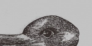 This picture says a lot about your brain