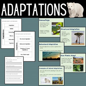 Adaptations Vocabulary-PowerPoint Presentation and Graphic Organizers