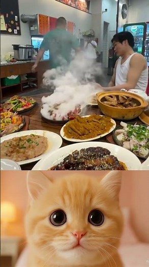 Epic Human Fails Compilation – Hilarious Moments You Won’t Believe!! #118