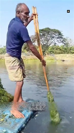 How Villagers Turn Water Hyacinth into Gold 💰