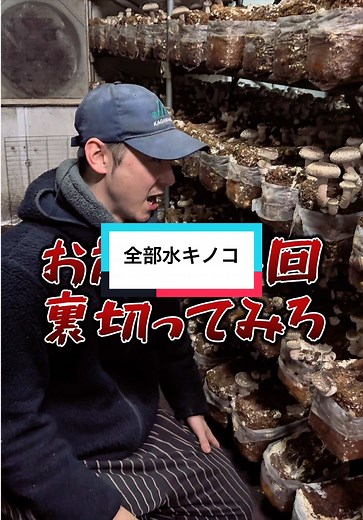 香川県の椎茸栽培と限界農業について