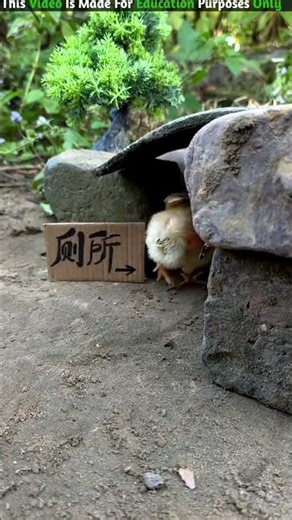 by shooting with a pistol 😨 | New viral Gadgets,Smart Appliances,Kitchen Utensils/ Home lnvention