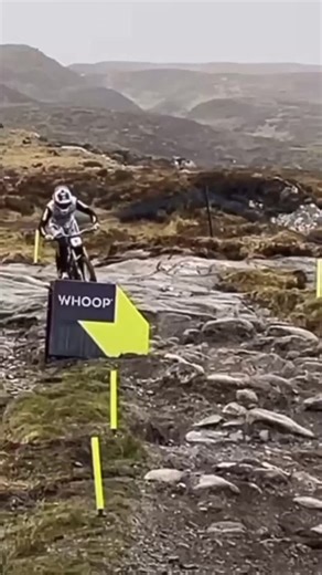 Humour guy🌚 | 😭😭 Family Guy is the long-running, Emmy-winning adult animated sitcom centered on the dysfunctional, lower-middle-class Griffin... | Instagram