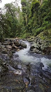 550K views · 1.6K reactions | This is your sign to discover the magic...