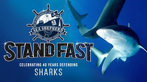 131K views · 560 reactions | #SHARKS! We saved the sharks for last in...