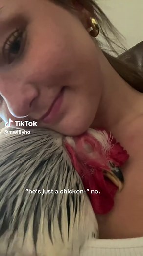 Charming Chicken Pets: Understanding Their Unique Behavior