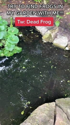 thatgardengirly on TikTok