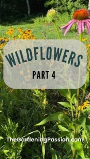 2.2K views · 64 reactions | Two of the most asked questions about...