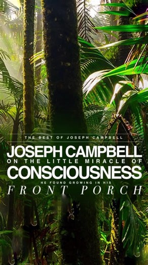 JOSEPH CAMPBELL: “In the field of consciousness research-and also in physics and astronomy-we are breaking past the cause-and-effect, mechanistic way of interpreting things. In the biological sciences, there is a vitalism coming in that goes much further toward positing a common universal consciousness of which our brain is simply an organ. Consciousness does not come from the brain. The brain is an organ of consciousness. It focuses consciousness and pulls it in and directs it through a time an