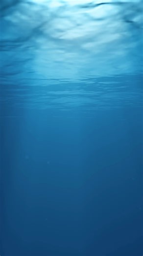 Mindset Mastery (@__mindset_mastery___)’s videos with original sound - Mindset Mastery