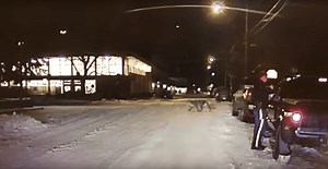 An RCMP dashcam caught a furry jaywalker in Alberta (VIDEO) | News