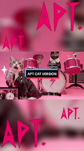 APT Rose Cat Version Featuring Bruno Mars