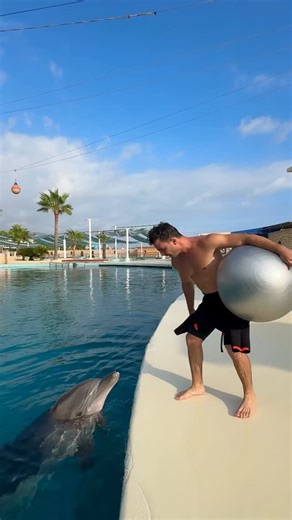 2.3M views · 115K reactions | The goat is never change!!! | Fester Abdü | Facebook