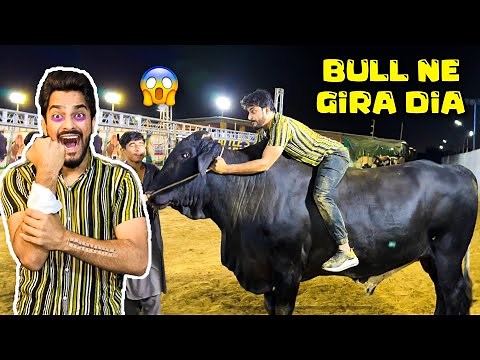 50 LAKH K BULL NE GIRA DIA😱 | ADVENTURE VLOG | MISHKAT KHAN | THE FUN FIN