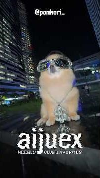 crazy week for fans of da rave🔥