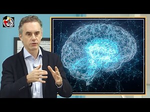 What Consciousness Is and How It’s Related to Brain Structure