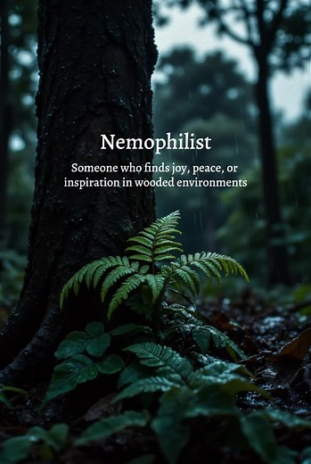 Discovering the Joys of Being a Nemophilist