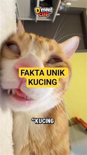 The Shocking Truth: Cats Can’t Taste Sweet Things! 🐱 #cat #shortvideo #animalfacts #catfacts