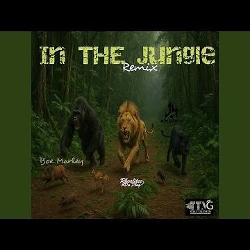 In the Jungle (Remix)