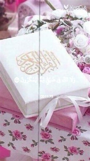 💕💕💕🤍🩷🤍🩷🤍🩷🤍💞💞💞