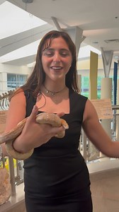 13K views · 48 reactions | ABC13's Sarah Weitzman - ABC13 WSET is at the Virginia National History Museum for the reptile fest. Tune into ABC13 News tonight to learn more. | ABC 13 - WSET | Facebook