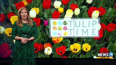 Tulip Time releases 2026 lineup