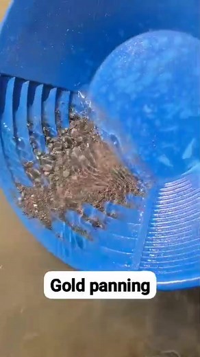 Gold Traces Found at the End — Real Prospecting Result At the end of the wash, small gold traces became clearly visible. This video shows the final cleanup stage where the fine particles of gold appear after removing sand and light material. Perfect example of real gold prospecting in action #GoldProspecting #GoldHunting #GoldTraces #GoldPanning #Paydirt #TreasureHunting #GoldRush #MiningLife #RealFinds #GoldDetector #NatureFinds | Gold Hunt with A.rehman