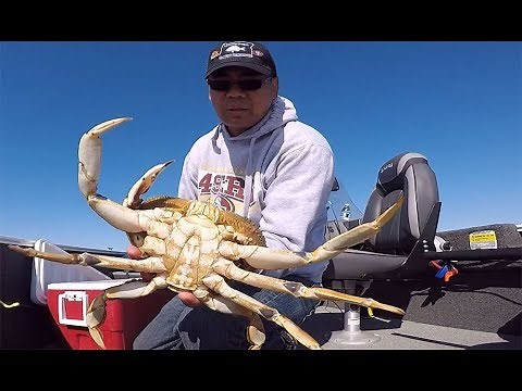 Crabbing on the Oregon coast. Catching crab with a crab snare