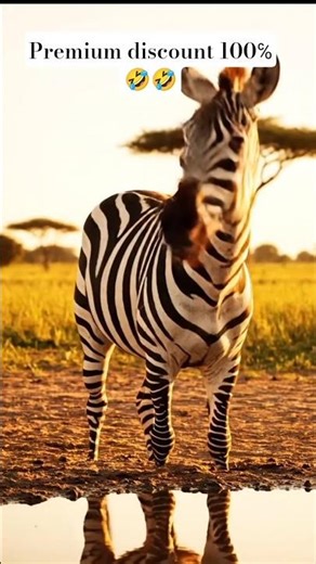 Zebra Realizes He’s a Barcode 😂 #shorts