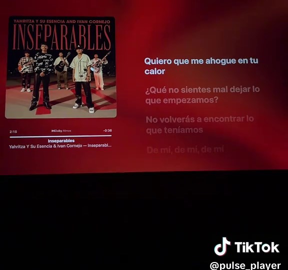 @Ivan bruh #inseparables #ivancornejo #paratiii #lyrics_songs #musica