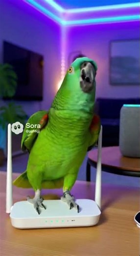 “Parrot vs Alexa Part 2 😂🔥 The WiFi WAR Begins!” #petshorts