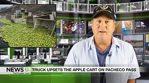 20K views · 49 reactions | In this episode we cover: - A different kind of smokie walks into a police station. - New guidance for not disrupting truckers while they sleep. - TBS factoring hits $1 Billion - Our new Trucker Tech Report All this and more news along with our Rig of the Week at www.thetrucker.com | The Trucker | Facebook