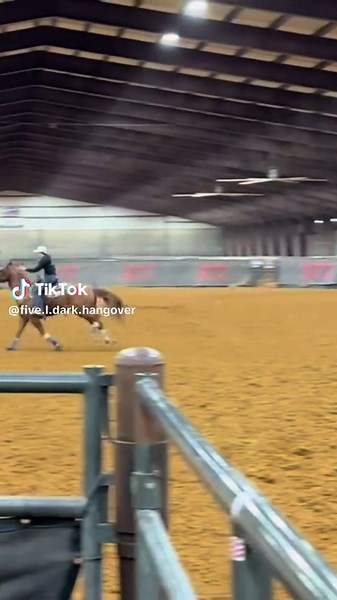 Five L Dark Hangover on TikTok