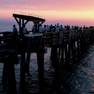 177 reactions · 13 shares | Naples, Marco Island, Everglades - Paradise Coast on Reels | Facebook