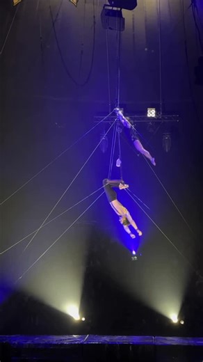 Новости🗞️ Циркового🎪 Мира 🌍 on Instagram: "Matias Cienfuegos & Micaela Leitner. Another combination — same level of trust, control, and precision. This is partner acrobatics where nothing is accidental. Years of experience, shared risk, and absolute understanding between two artists. Pro Circus exists to document moments like this - when circus speaks through mastery, not words. 🎪 Real artists. Real craft. #procircus #circus #цирк #procirque #cirque"