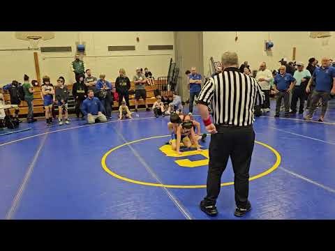 Sergio Springfield 2